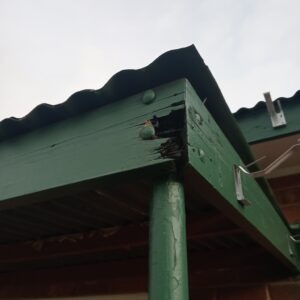 Downpipe Blocked Symptoms