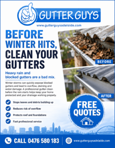 gutter cleaning