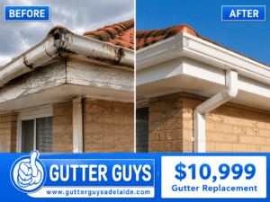 Replacing Your Gutters in Adelaide